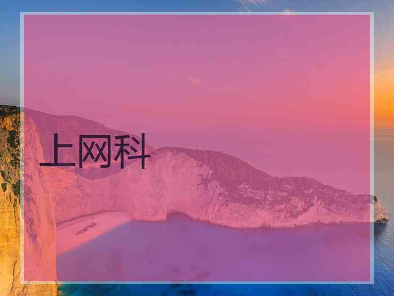 上网科