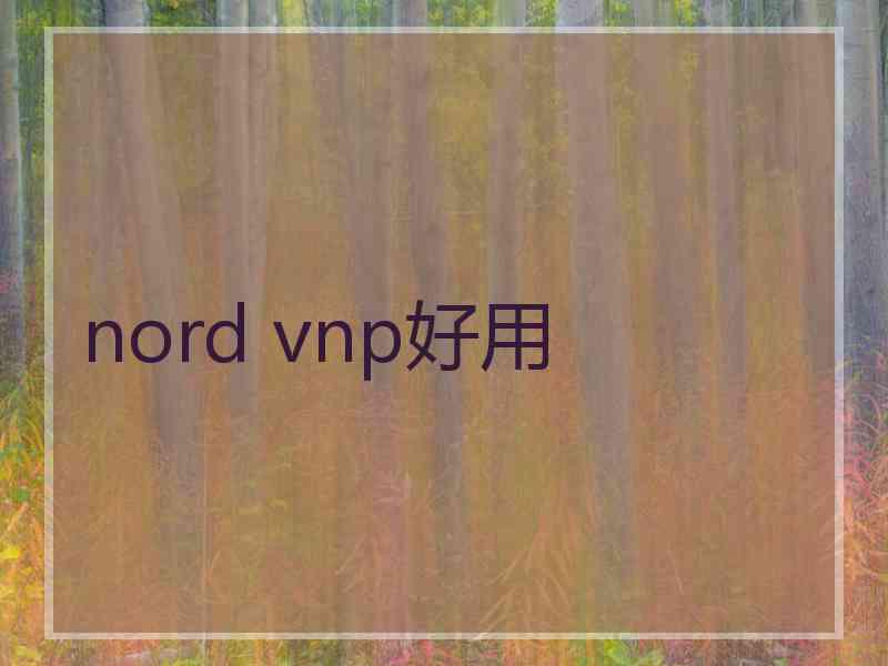 nord vnp好用