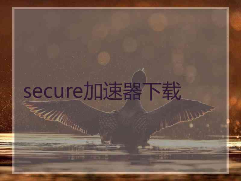 secure加速器下载