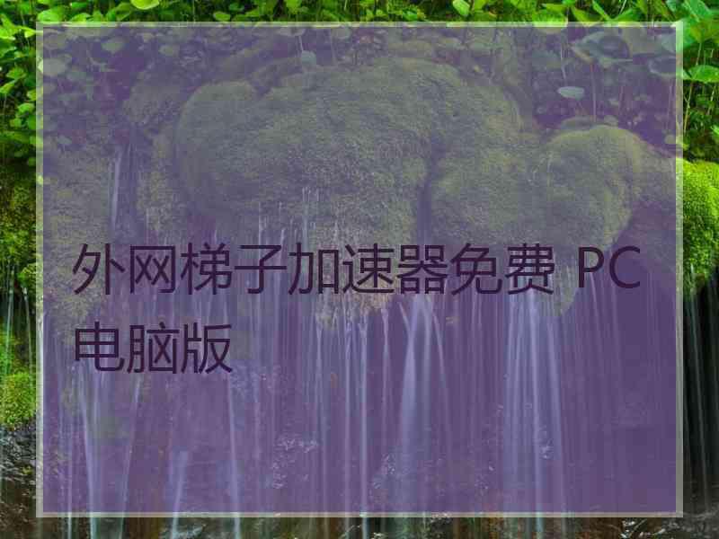 外网梯子加速器免费 PC电脑版