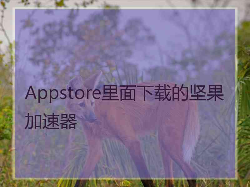 Appstore里面下载的坚果加速器