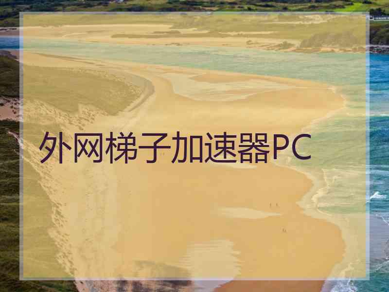 外网梯子加速器PC