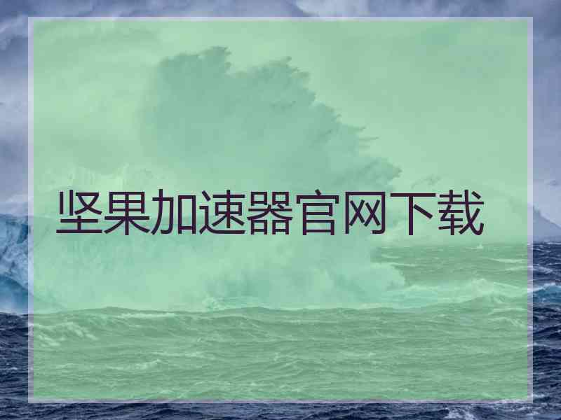 坚果加速器官网下载