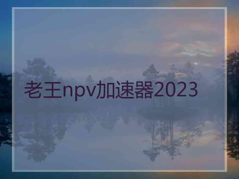 老王npv加速器2023