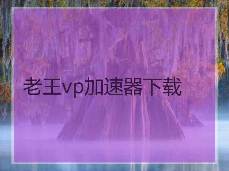 老王vp加速器下载