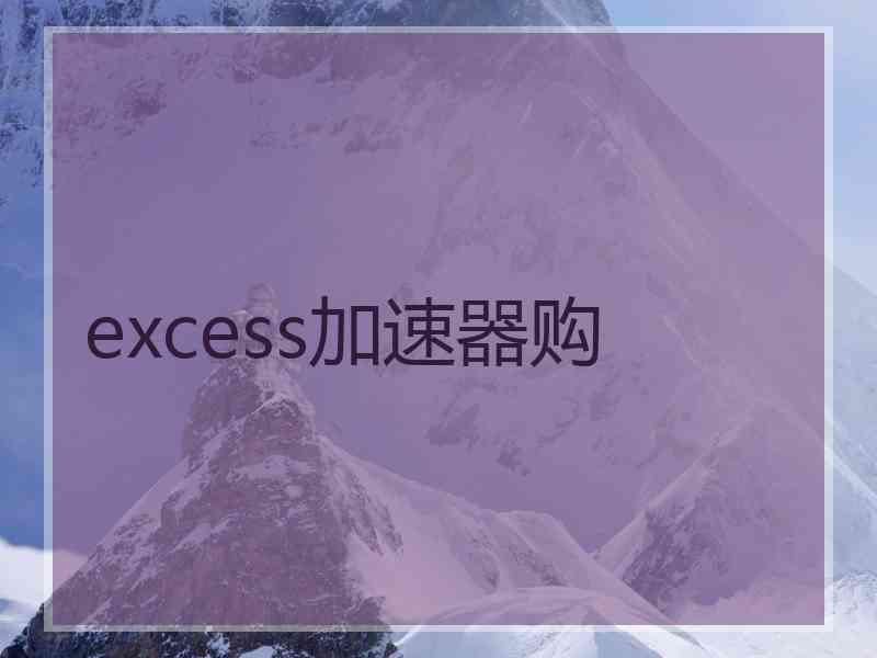 excess加速器购