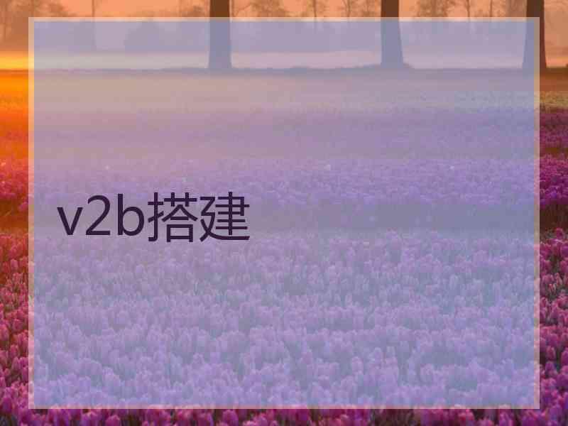 v2b搭建