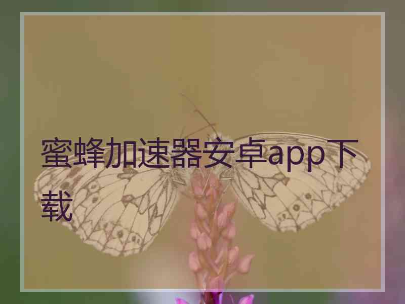 蜜蜂加速器安卓app下载