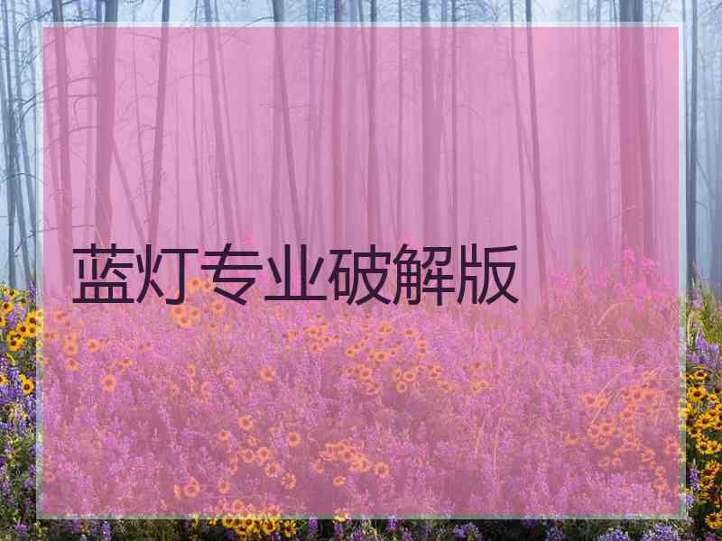 蓝灯专业破解版