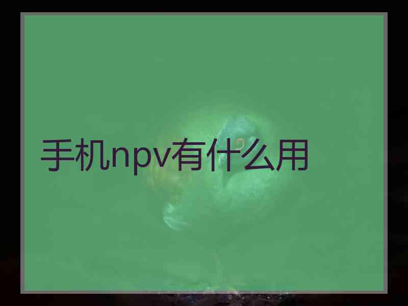 手机npv有什么用