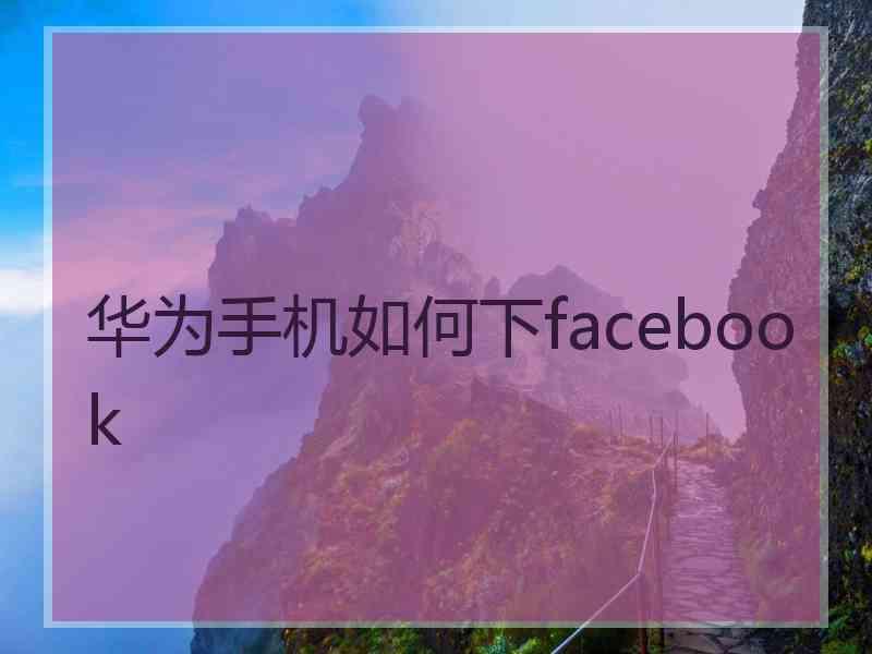 华为手机如何下facebook