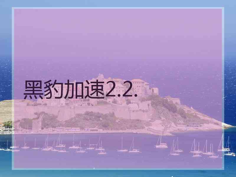 黑豹加速2.2.