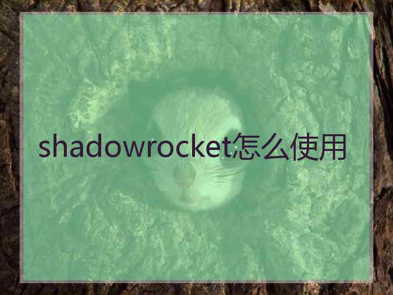 shadowrocket怎么使用