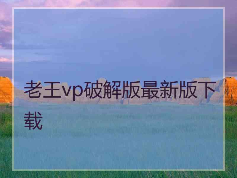 老王vp破解版最新版下载