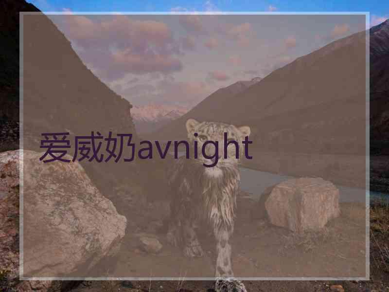 爱威奶avnight