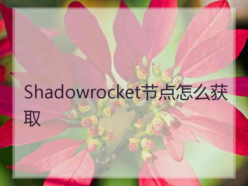 Shadowrocket节点怎么获取