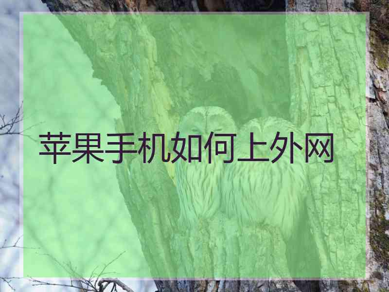 苹果手机如何上外网