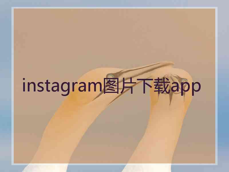 instagram图片下载app