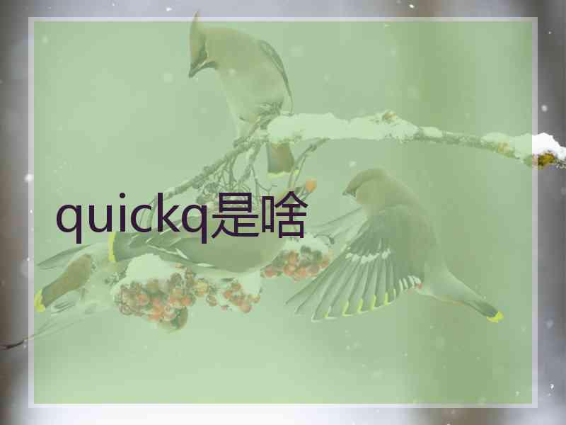 quickq是啥