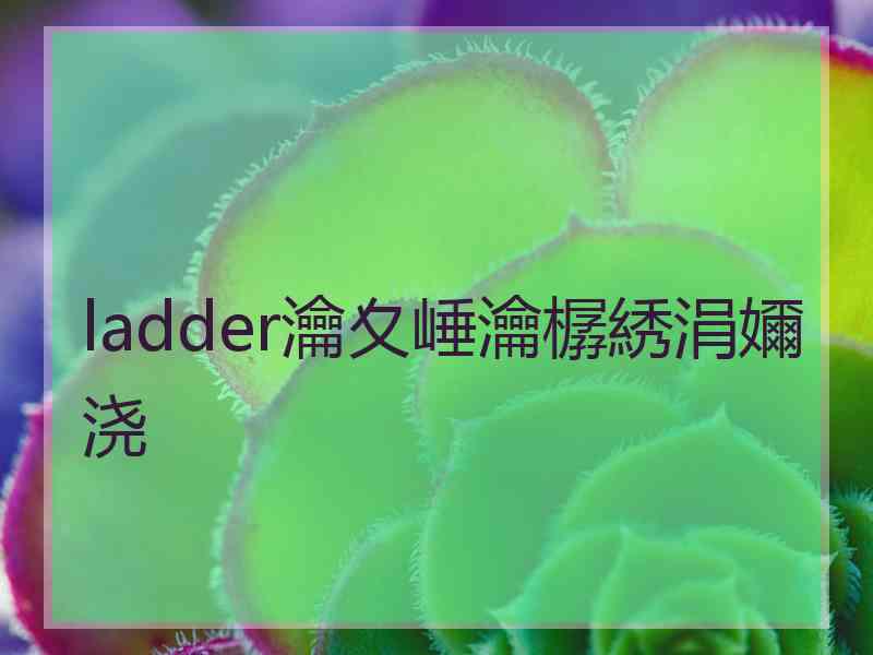 ladder瀹夊崜瀹樼綉涓嬭浇