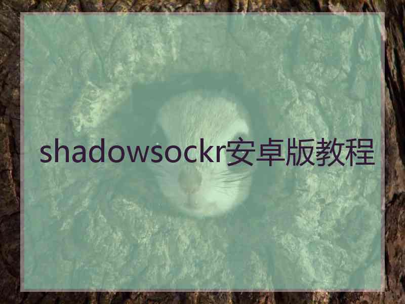 shadowsockr安卓版教程