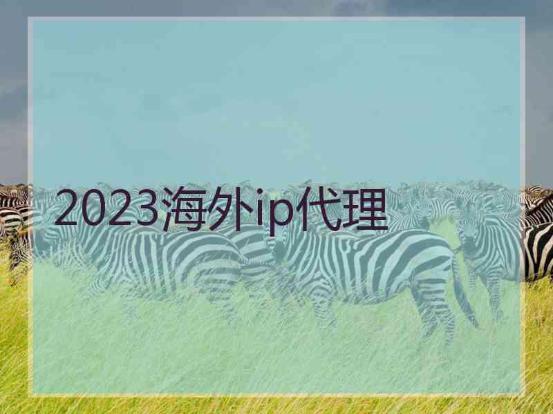 2023海外ip代理