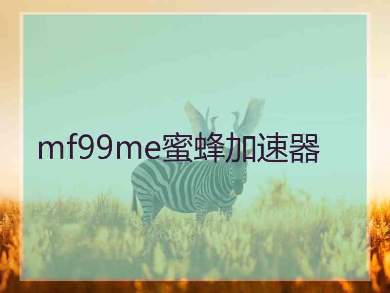 mf99me蜜蜂加速器