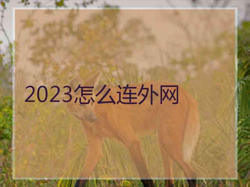 2023怎么连外网