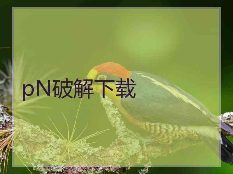 pN破解下载