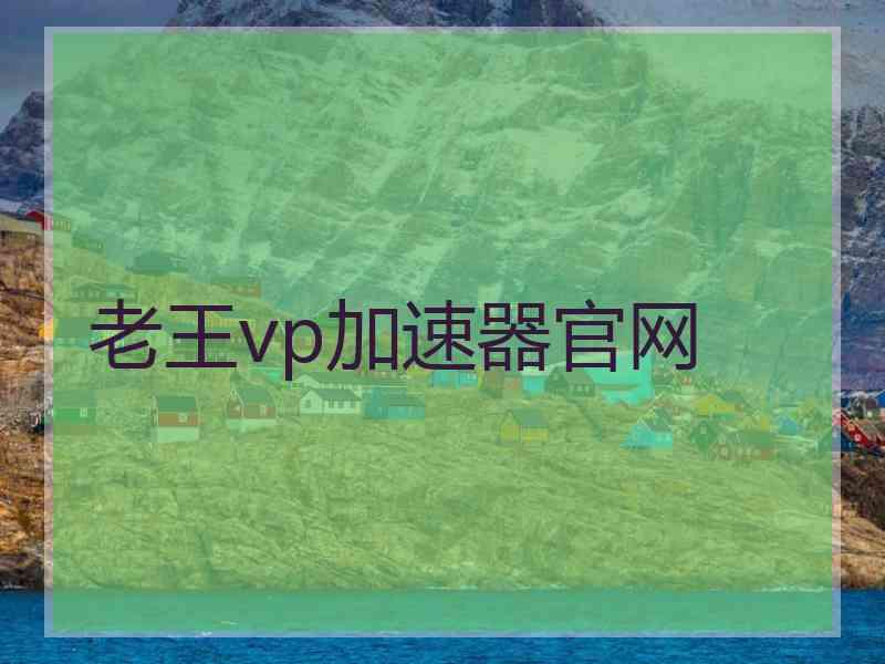 老王vp加速器官网