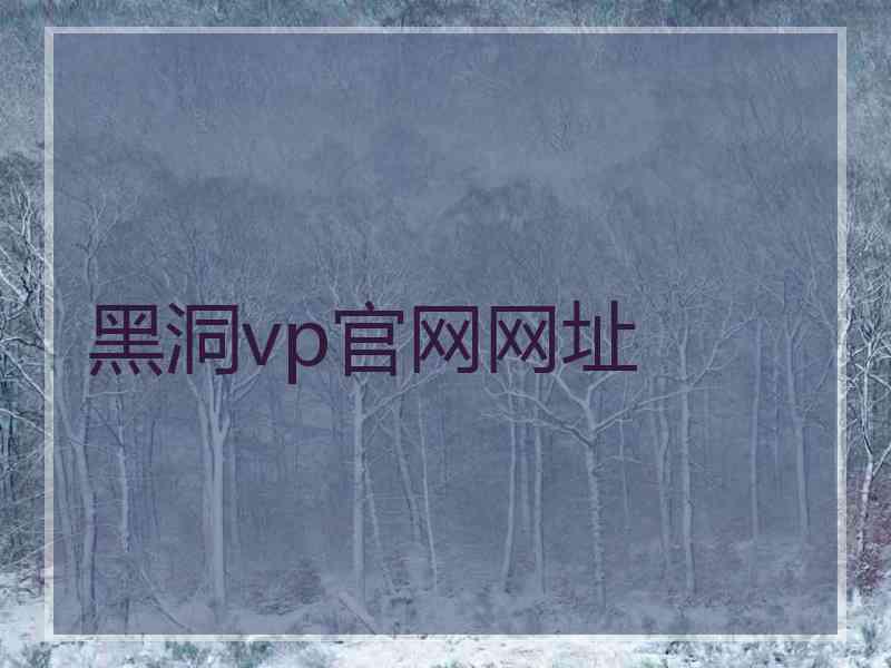 黑洞vp官网网址