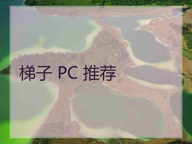 梯子 PC 推荐