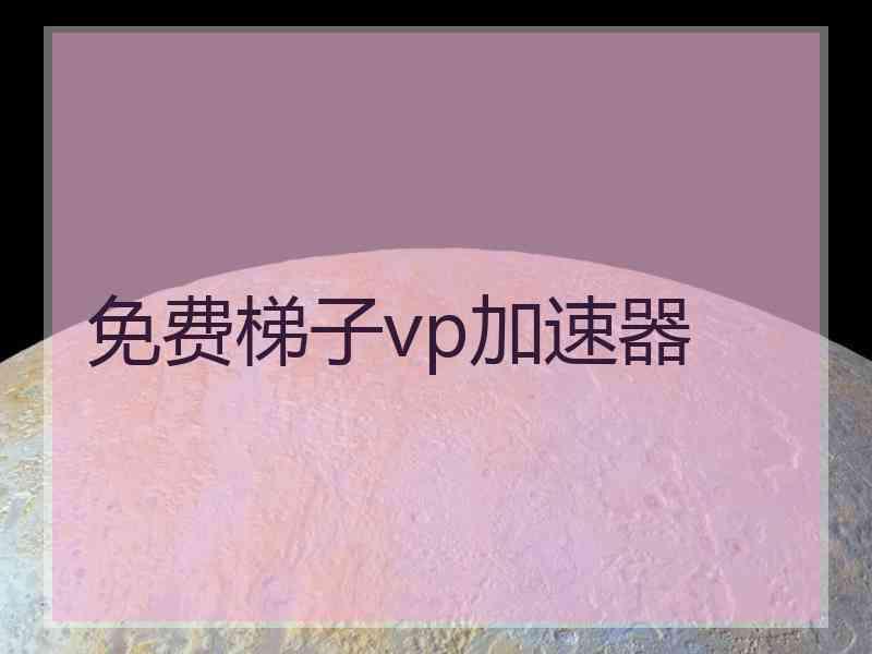 免费梯子vp加速器