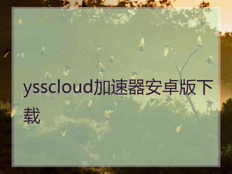 ysscloud加速器安卓版下载