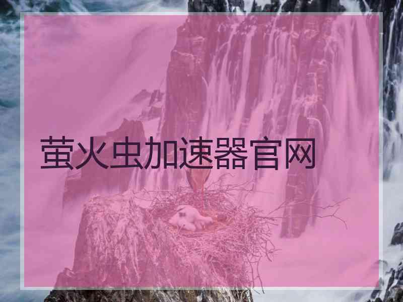 萤火虫加速器官网