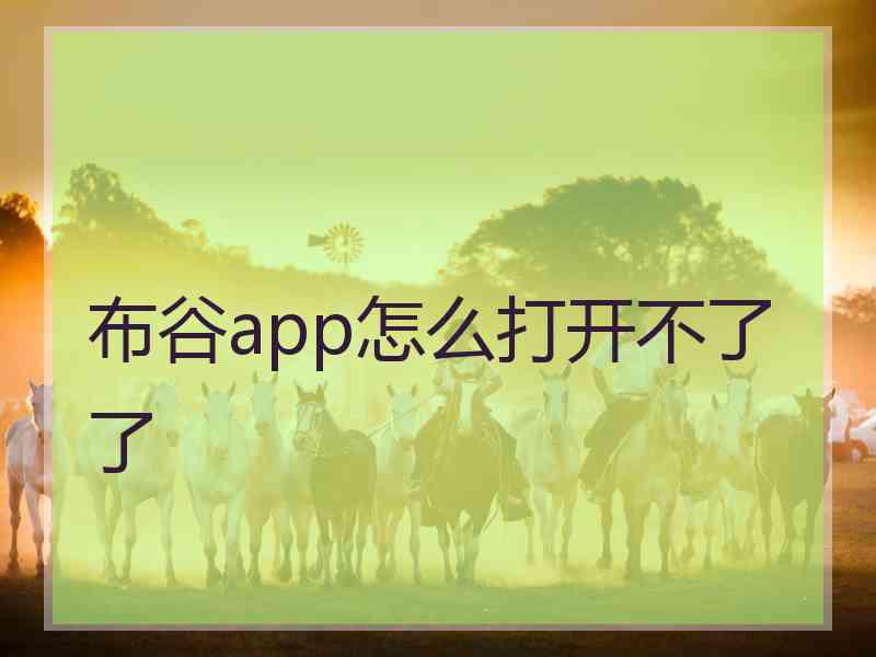 布谷app怎么打开不了了