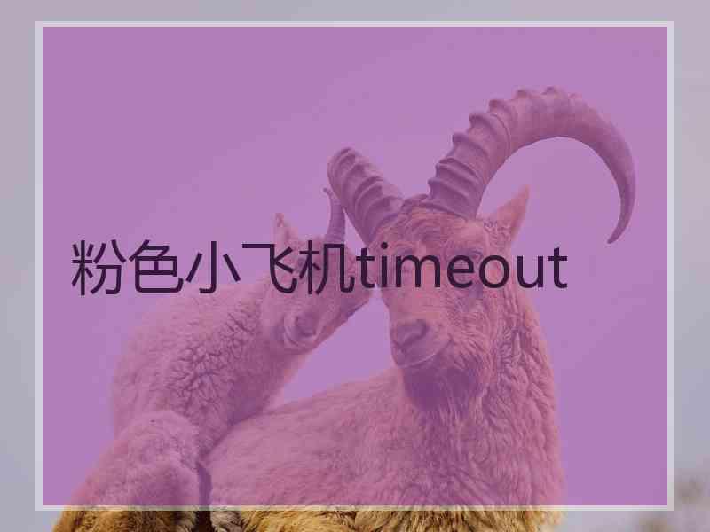 粉色小飞机timeout