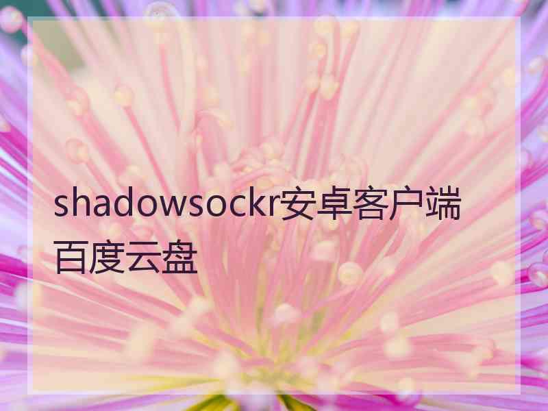 shadowsockr安卓客户端百度云盘