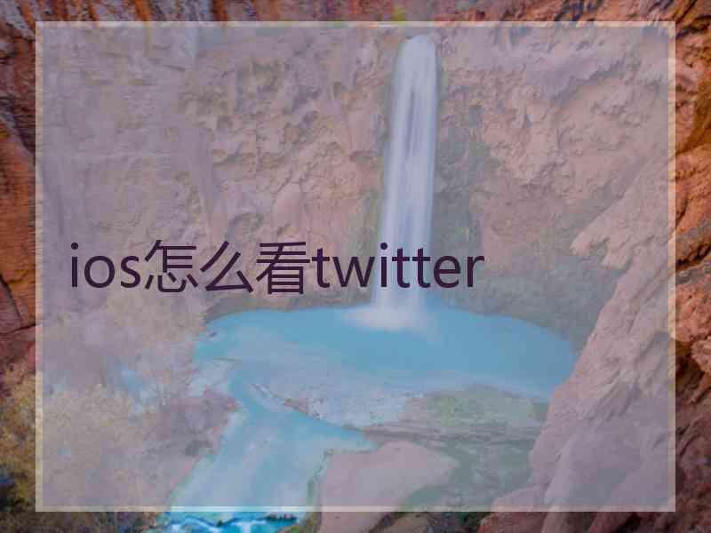 ios怎么看twitter