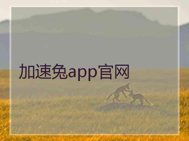 加速兔app官网