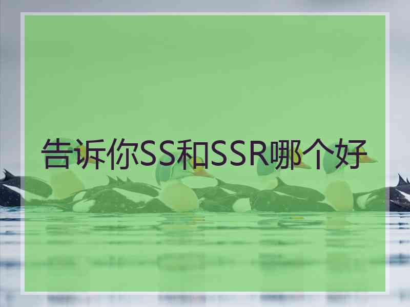 告诉你SS和SSR哪个好