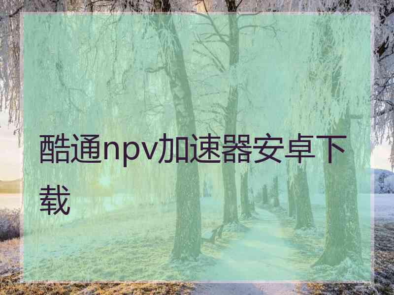 酷通npv加速器安卓下载