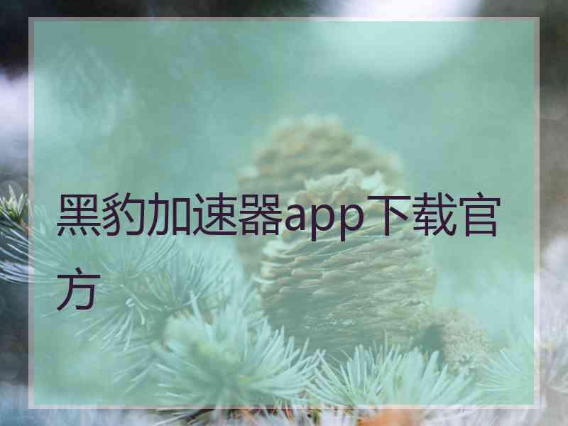 黑豹加速器app下载官方