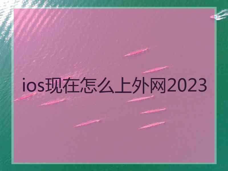 ios现在怎么上外网2023