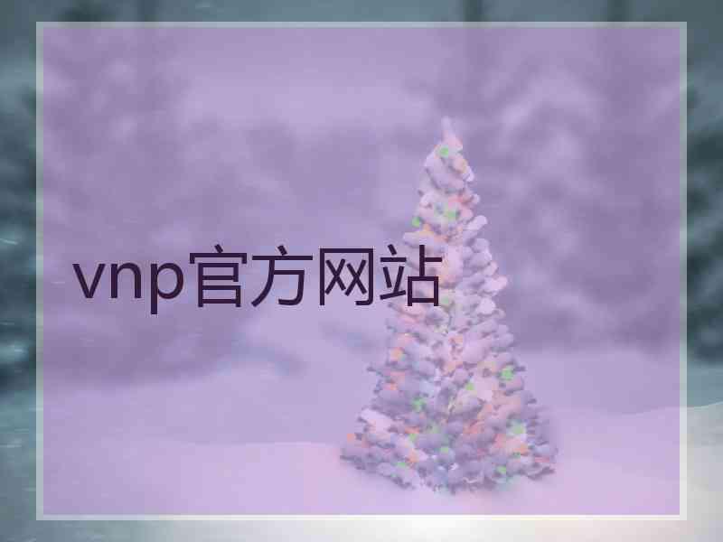 vnp官方网站