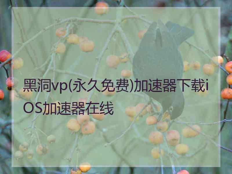 黑洞vp(永久免费)加速器下载iOS加速器在线