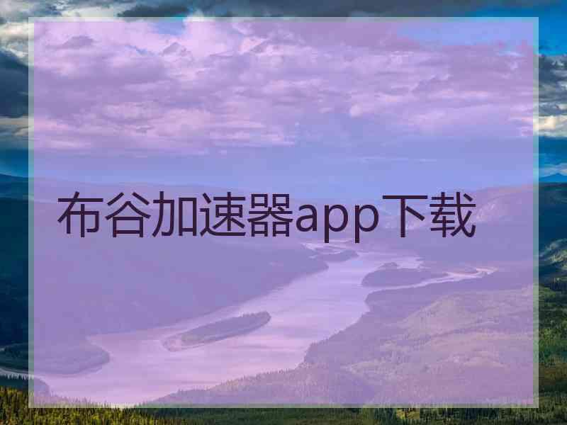 布谷加速器app下载