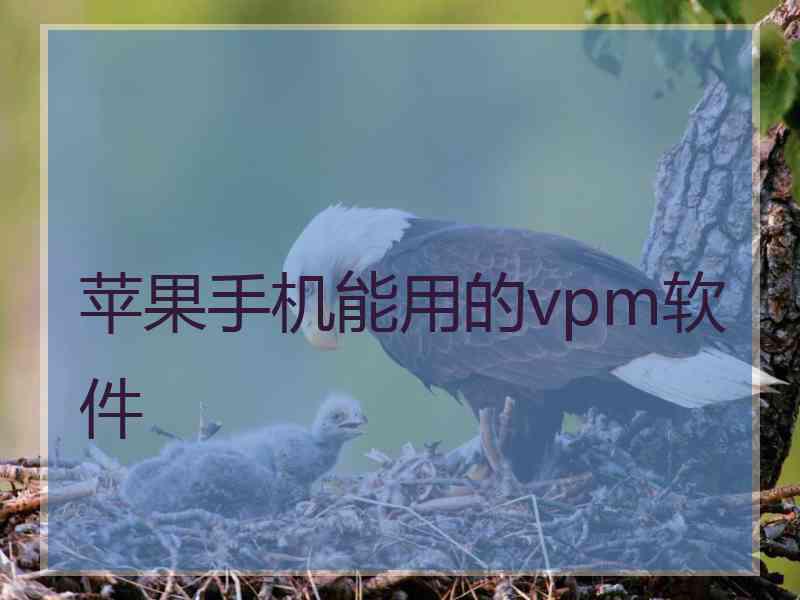 苹果手机能用的vpm软件