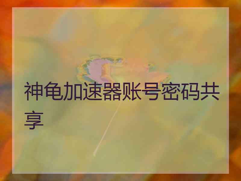 神龟加速器账号密码共享