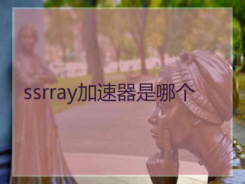 ssrray加速器是哪个